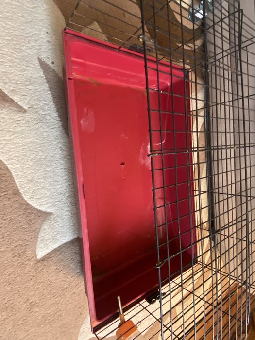 Продам клетку для морских свинок