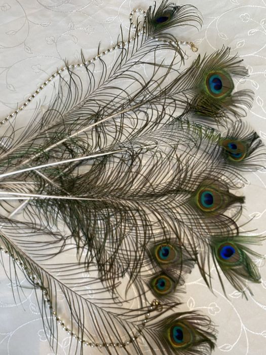 Павлиньи перья крупные и мелкие