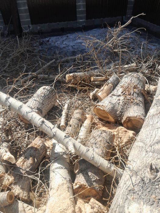 Отдам чурки бесплатно