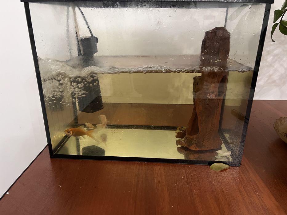 Аквариум сатылады