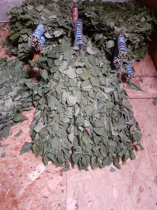 Веники березовые