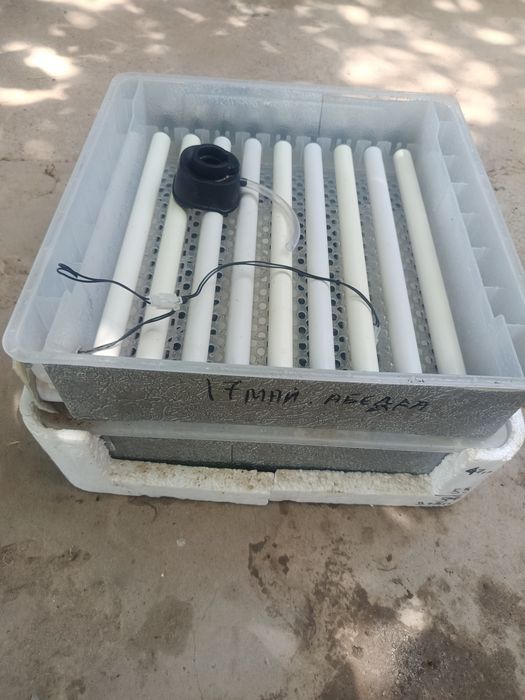 Инкубатор 120 талик