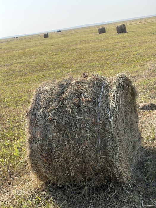 Сено луговое. Рулон