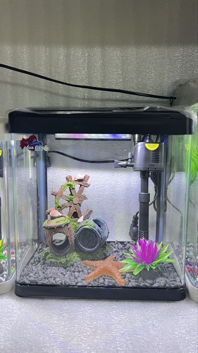 Заводской аквариумлар