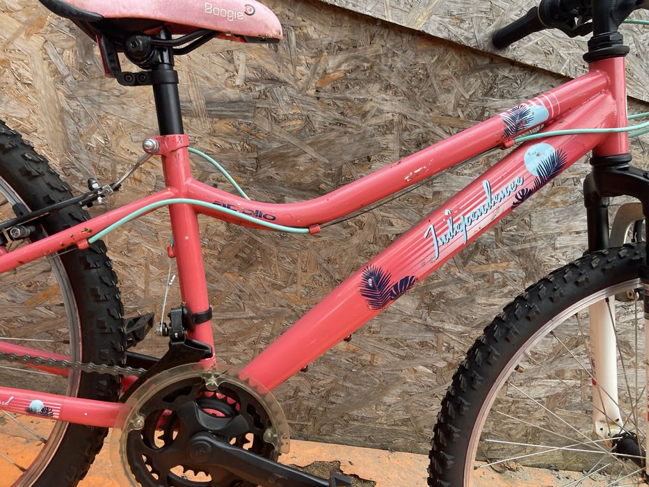 Bicicleta apollo independence roti 24”