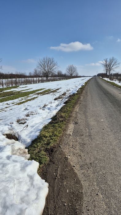 Teren intravilan de vanzare 4822 mp