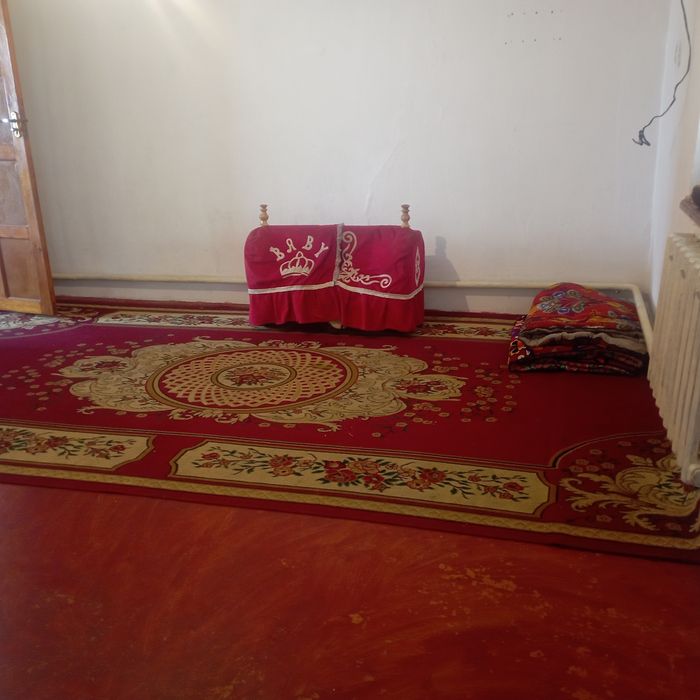 Арыс қаласы Ақдала ауылында