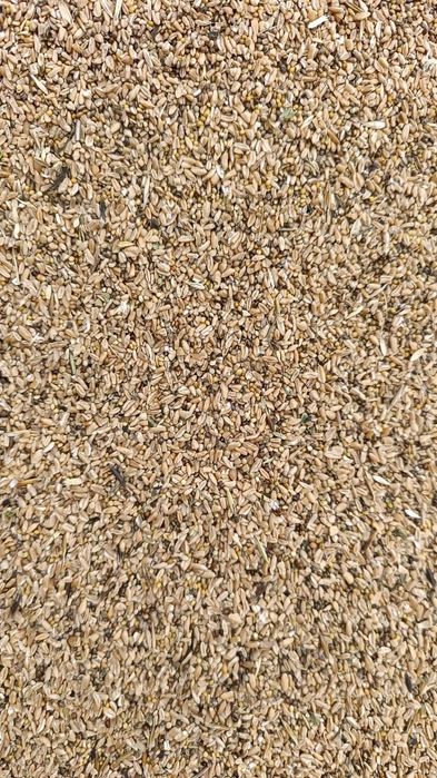 Отруби Зерноотходы Овёс Полова корма