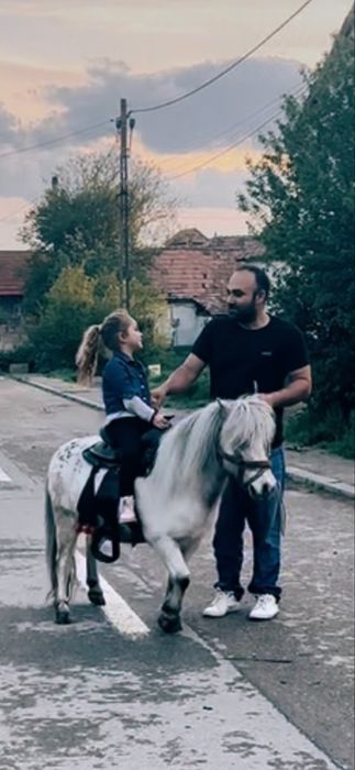 De vanzare poneu castrat de 7 ani fff bland invatat cu copiii garantat  la trasura si calarie  talie mica mai multe det la tel
