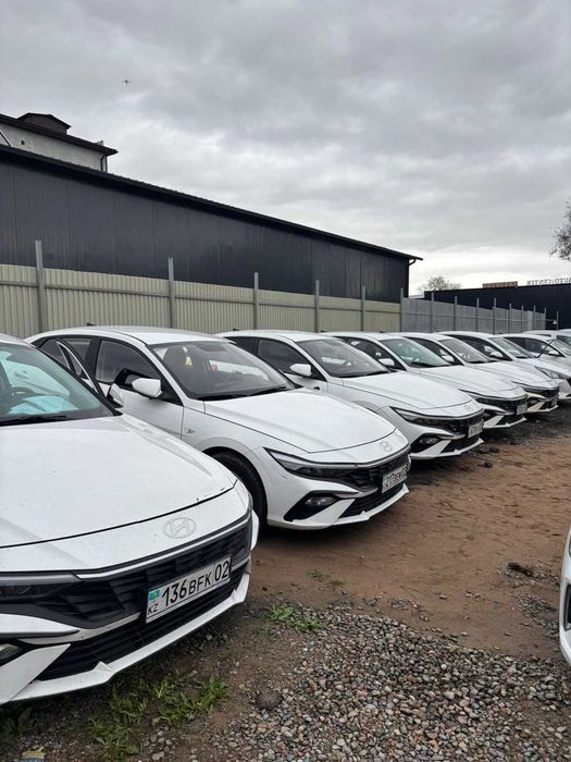 Сдается автомобиль Chevrolet Cobalt в аренду (график 6/1)