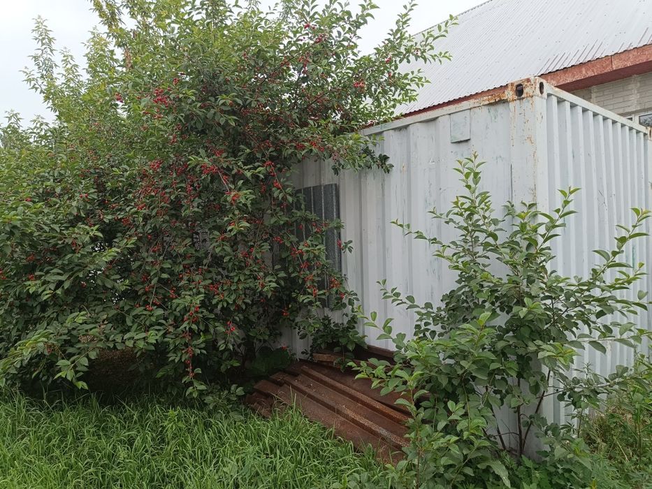 Продаёться Контейнер 40 т