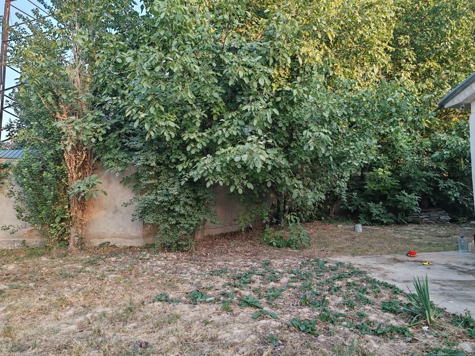 Срочно продаётся участка в кибрай