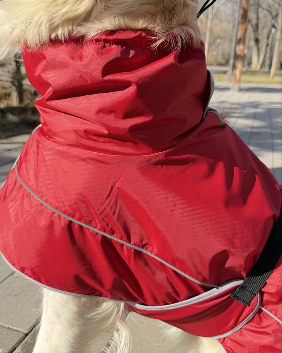 Дождевик для собак