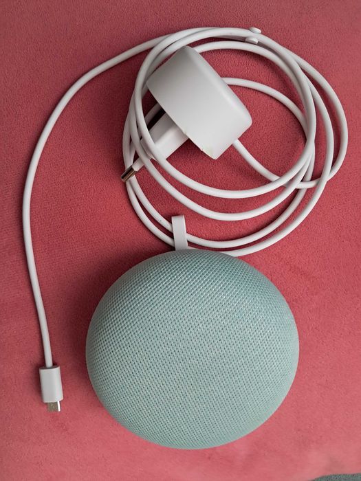 Bocsa google nest mini