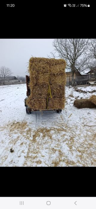 Baloti de paie de grâu