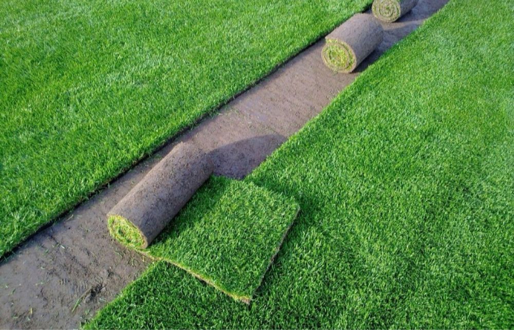 Vând si montez gazon rulou