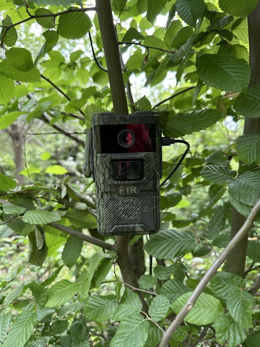 ForestCamLive F1R 4G Camera Vanatoare Live