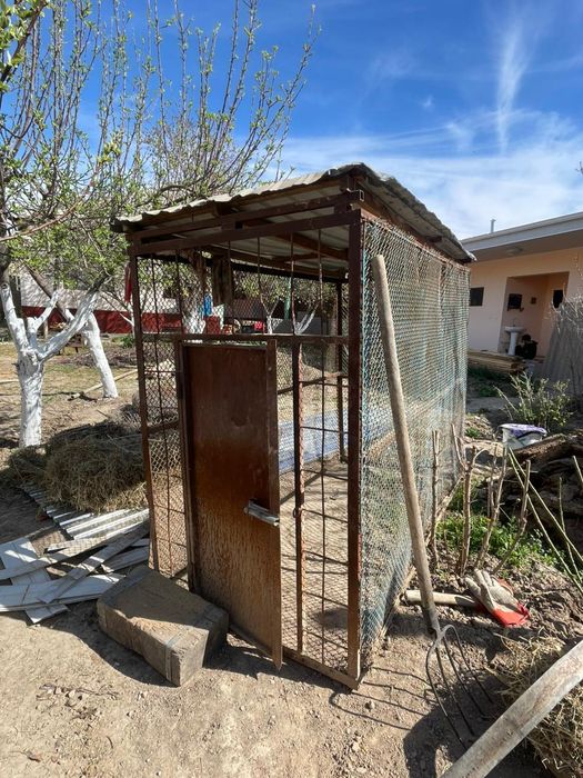 Валер для собак                           .