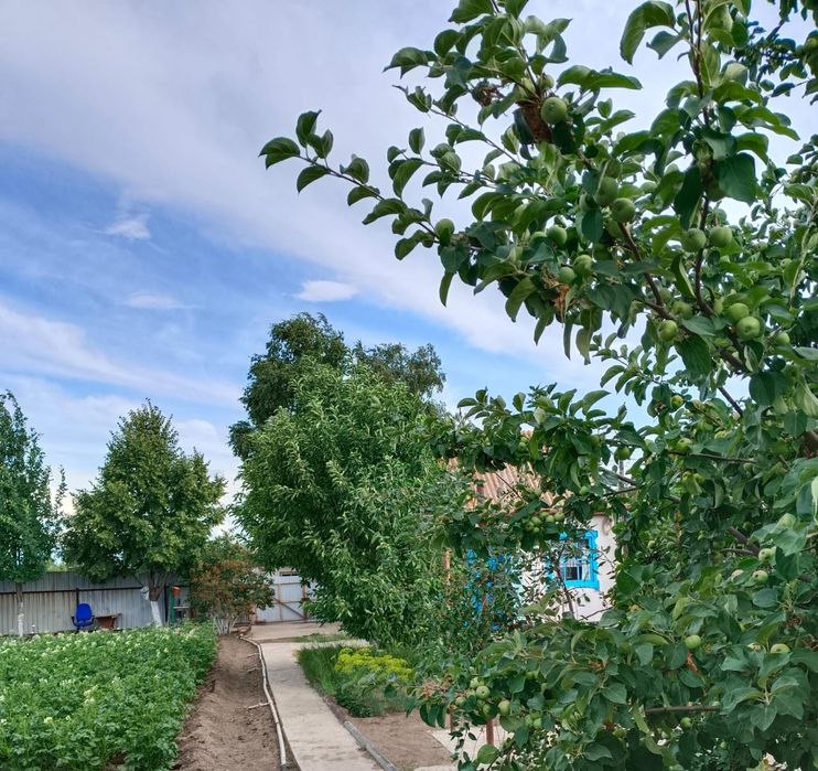 Дача СПП  с мебелью и всем необходимым