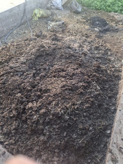 Mol tezaki go‘ng bor tekin