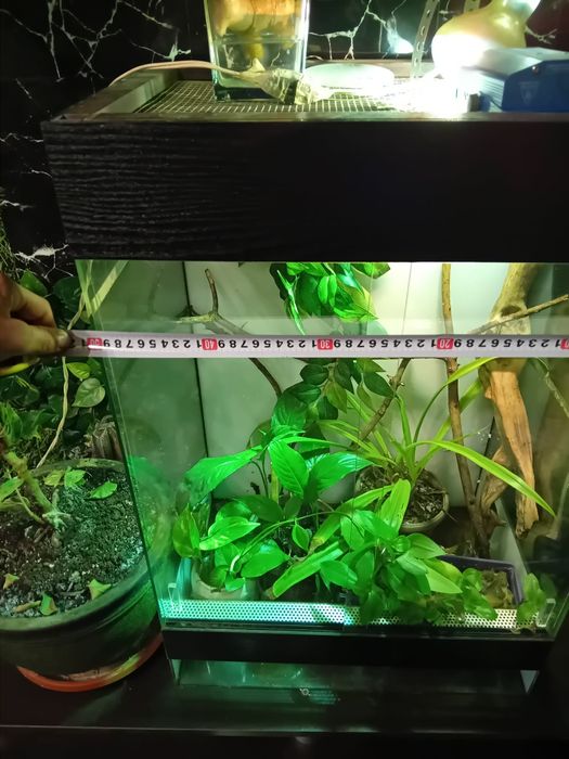 Терарюм за влечуги