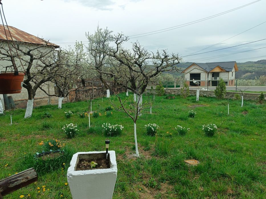 Vând casă Poienarii de Muscel