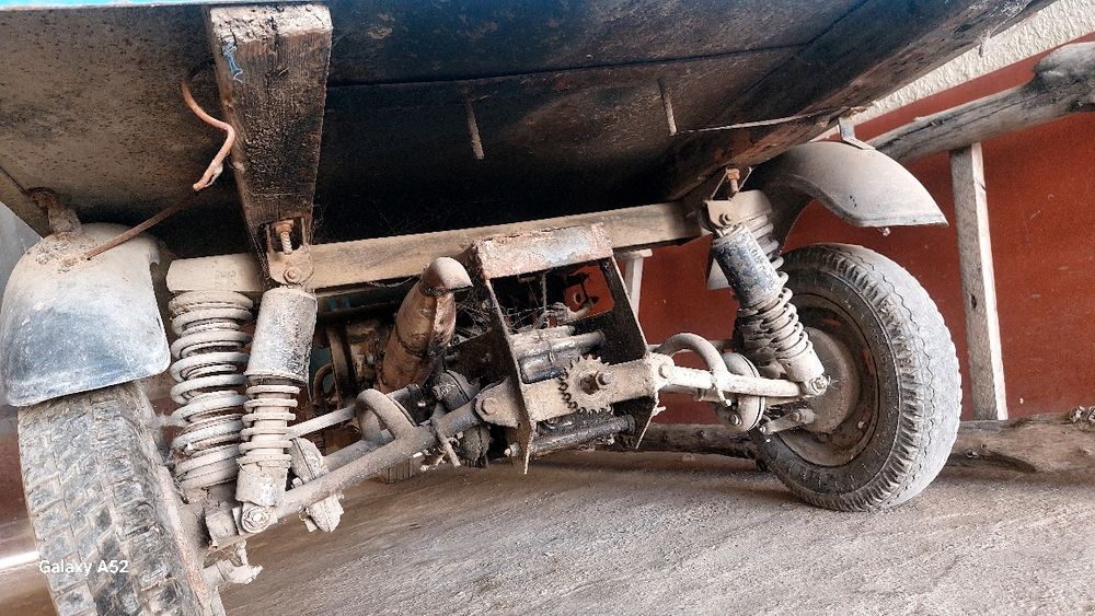 Муравей  матарол