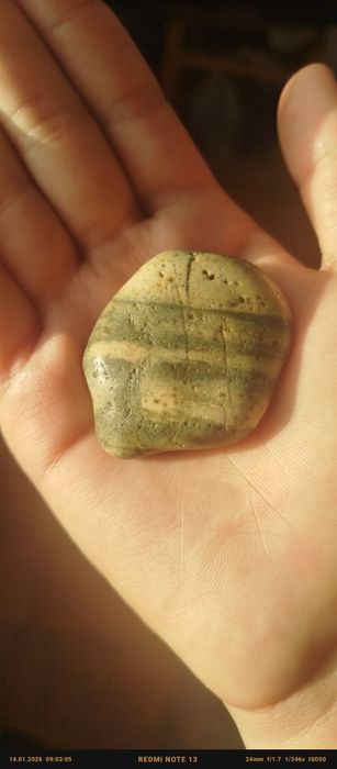 Уникальный древесный агат