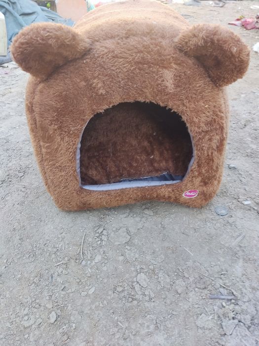 Дом для кошки без платно