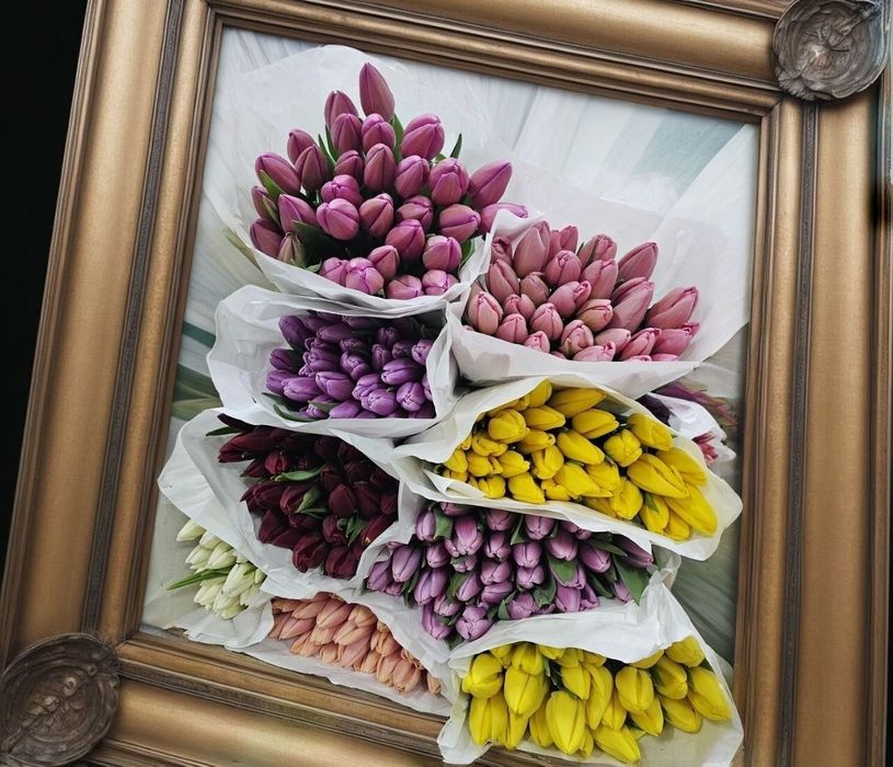 Тюльпаны продам не дорого