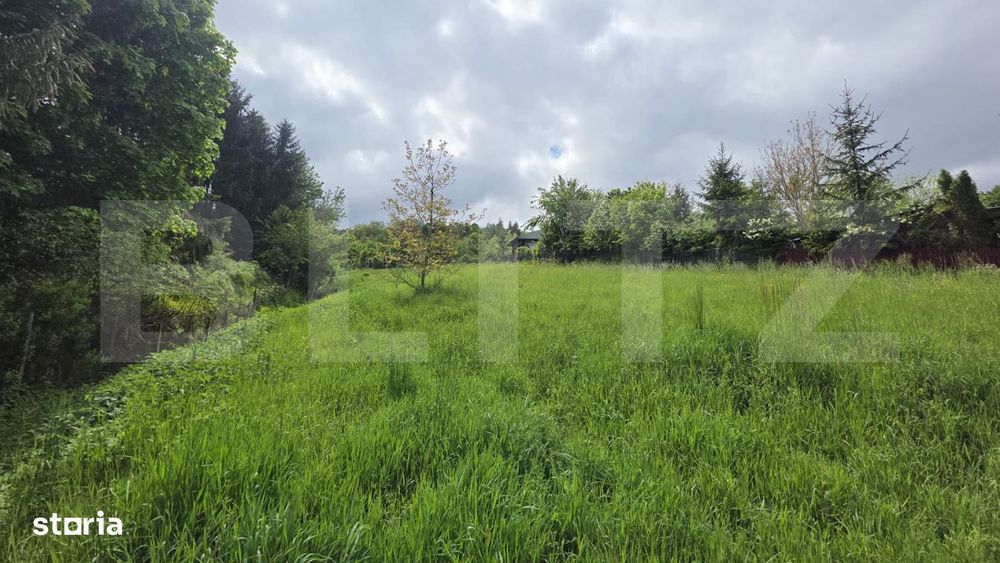 Teren intravilan de vanzare, 2293 mp | Valea Jelnei