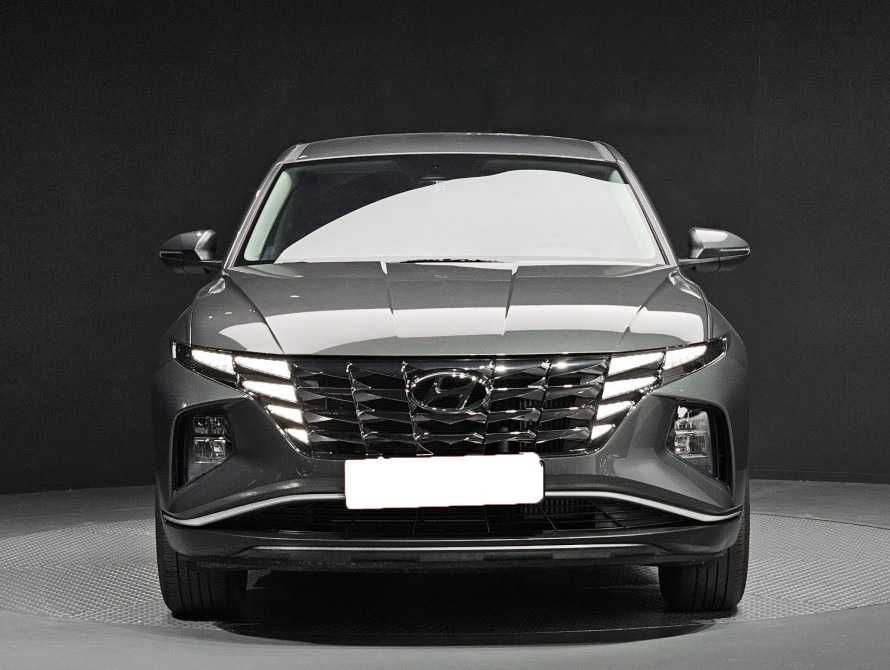 Радиатор Диффузор Корпус Усилитель Морда Ноускат Туксон