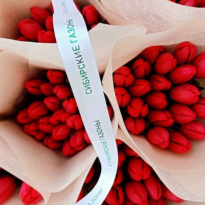 Тюльпаны    550тг.