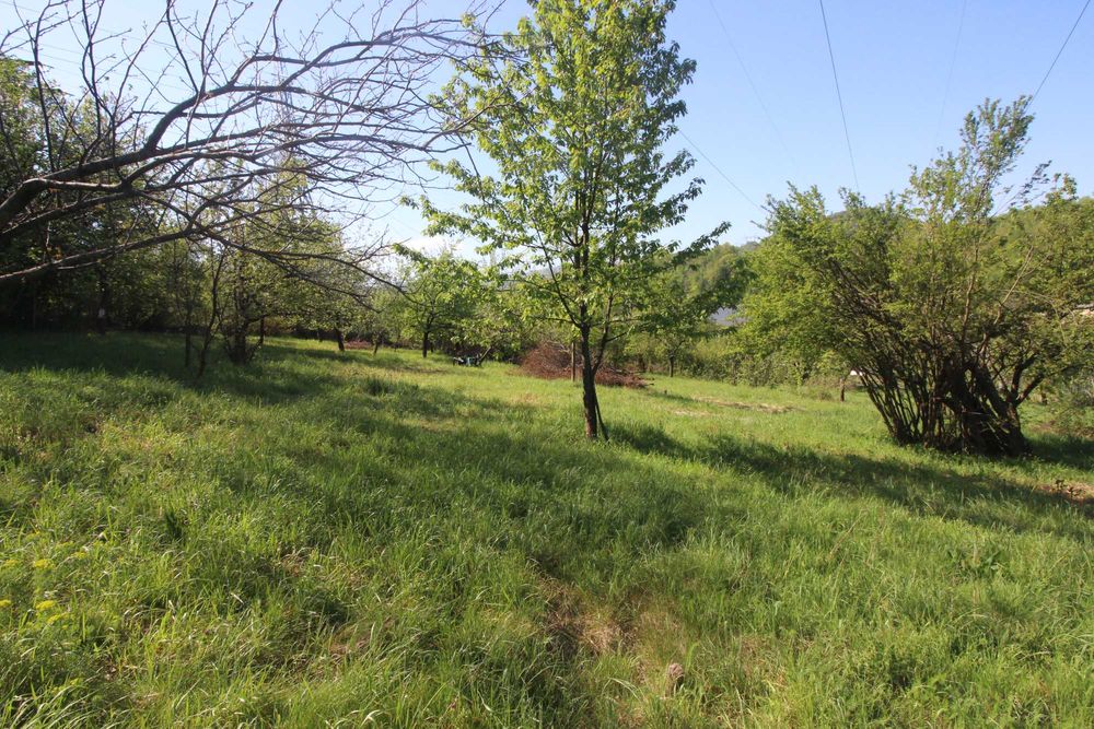 Продава се Земеделски имот в Габрово, Бичкиня -  кв.м за 5 €/дка - Снимка #3