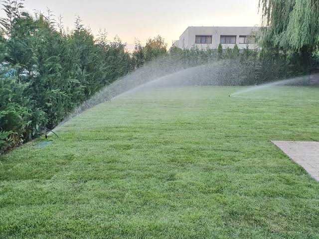 Amenajăm grădini folosind o gamă largă de plante – Transport și plantare