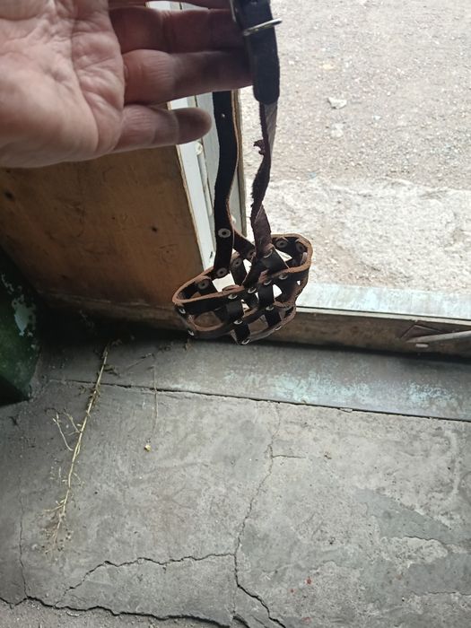 Продаю намордник для собак