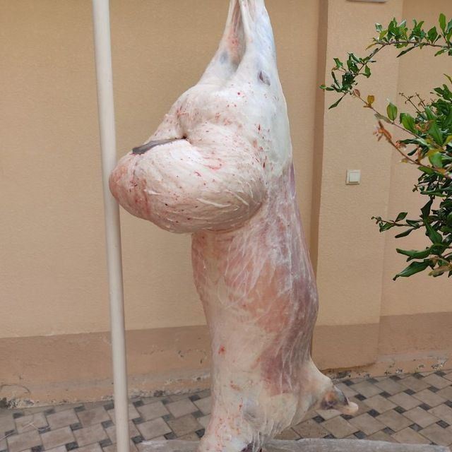 qassob xizmati halol va sifatli