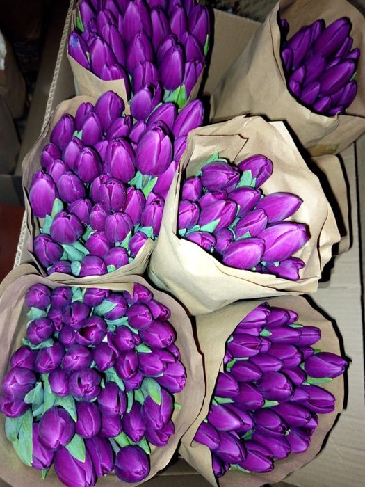 Тюльпаны оптом и в розницу