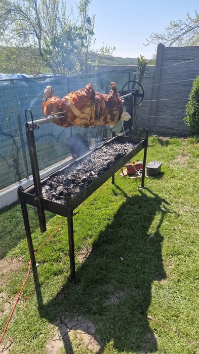 Rotisor proțap electric