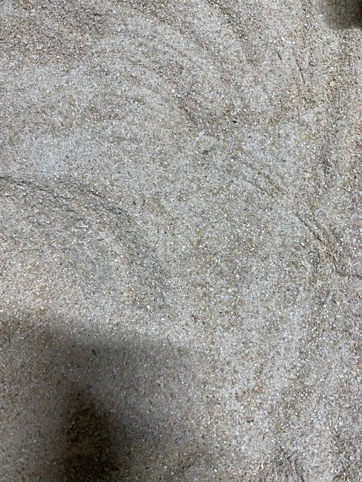 арпа, бидай, Ячмень, пшеница