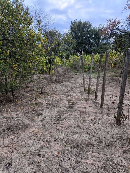 560-Продава се дворно място в местността "Арменски Лозя"!