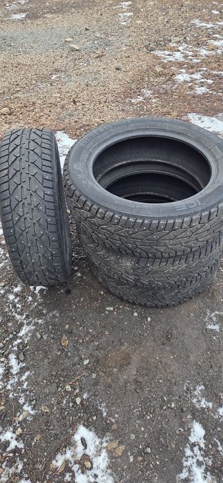 Шины зимние 225/55/19.