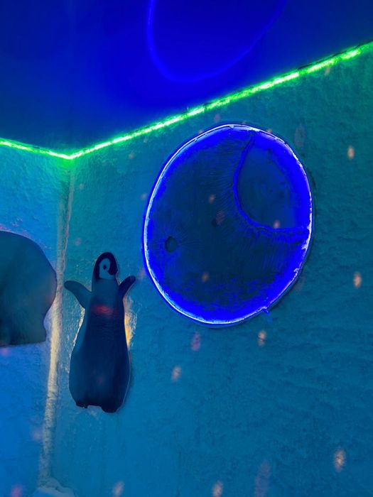 Тұзды шахта/Солевая шахта