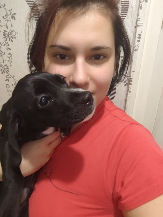 Подарявам кученце