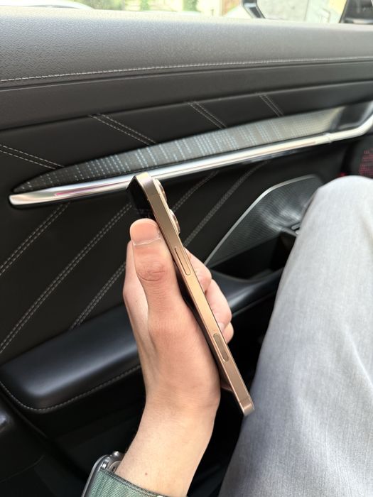 Iphone 16 po max 256