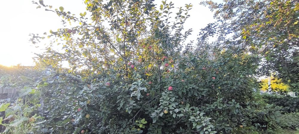 Продам дом с. Бесколь