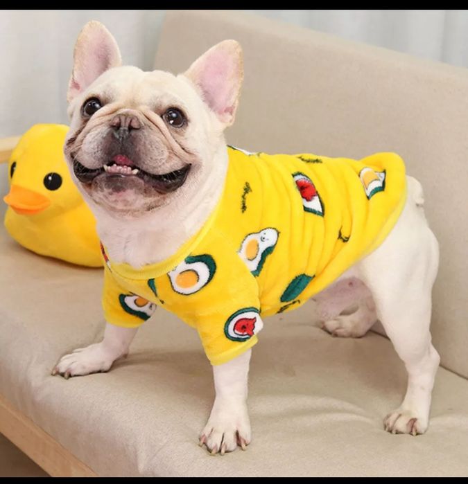 Топла дрешка за куче