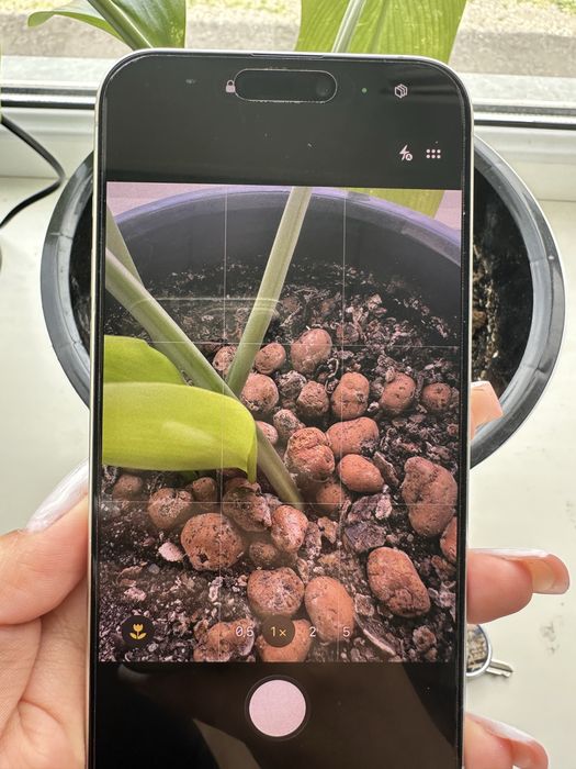 Айфон 15 про мах