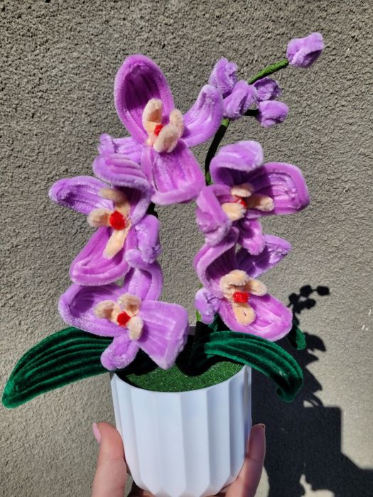 Aranjamente ghiuveci