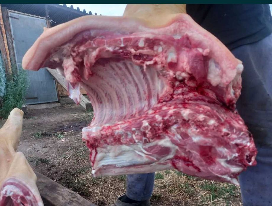 Свинина домашняя